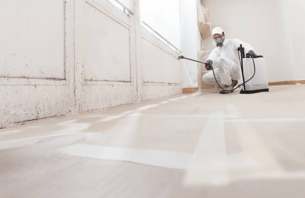 24/7 Emergency Mold Remediation experts in Sterling, IL